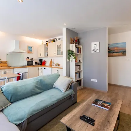 公寓 Le Petit Nieder - Centre 科尔马